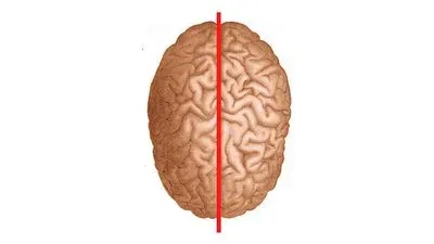 Left Brain vs Right Brain Test