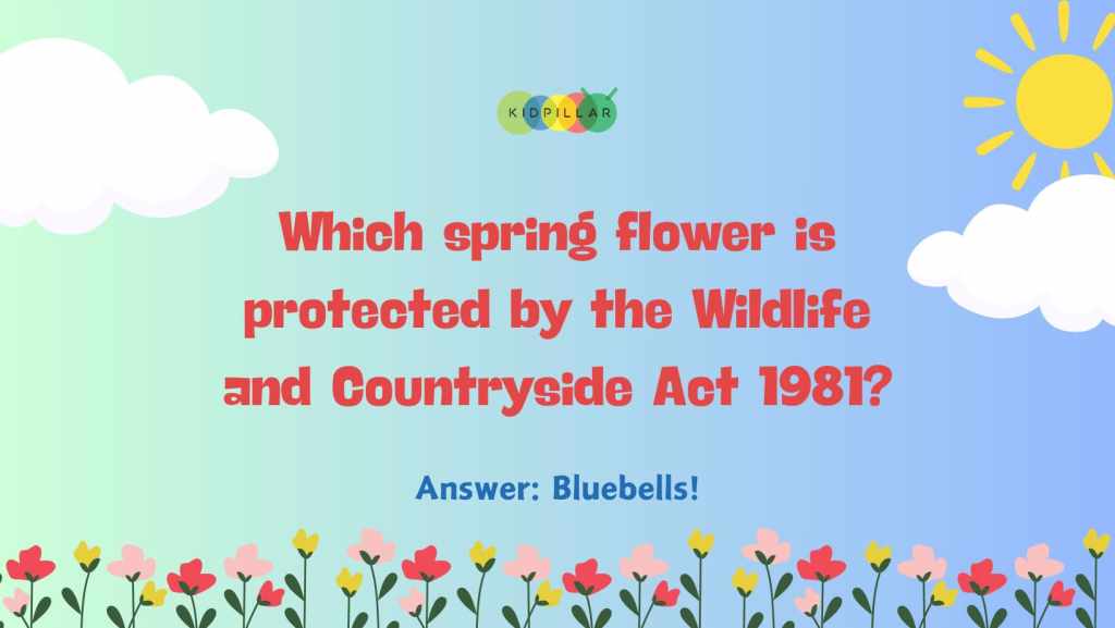 March Quiz